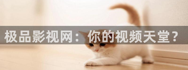 yy6080青苹果影院：极品影视网：你的视频天堂？