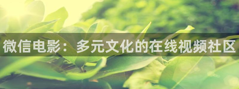 4480青苹果影院伦理：微信电影：多元文化的在线视频社区