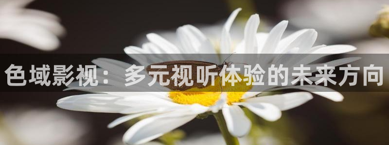 青苹果影院殇情影院：色域影视：多元视听体验的未来方向